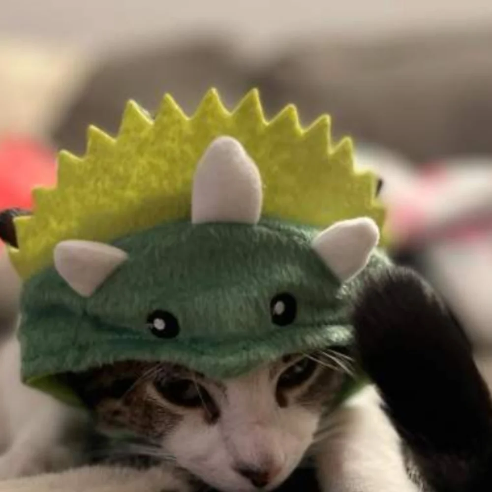 Triceratops cat headpiece